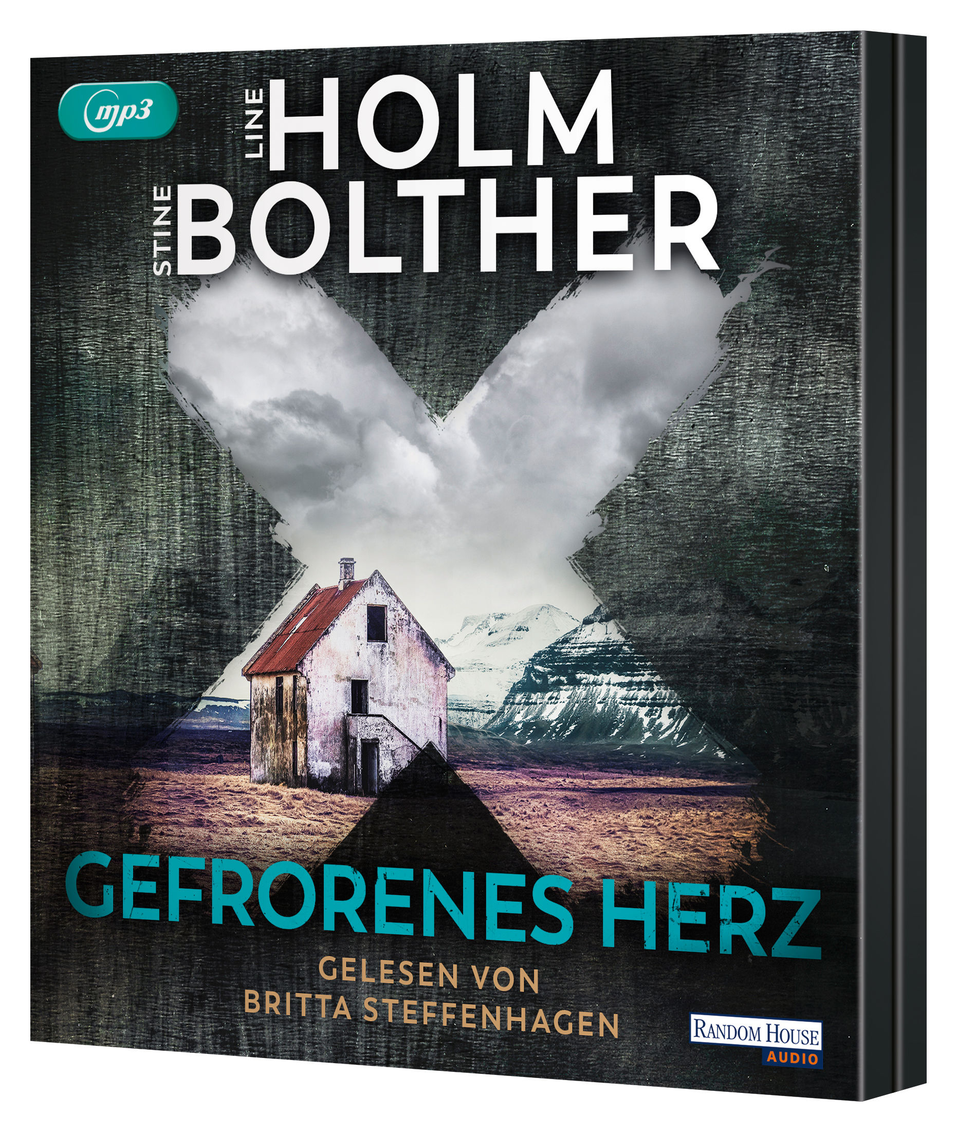 Beispielinhalt (Bild) Gefrorenes Herz