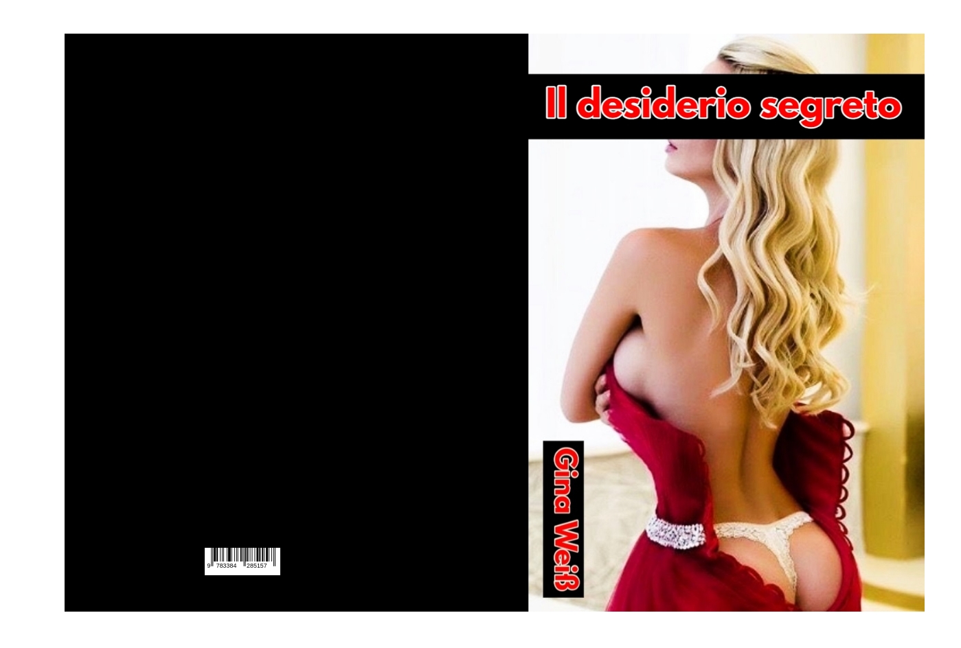 Gesamtes Coverbild Il desiderio segreto