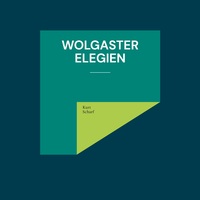 Vorderes Coverbild Wolgaster Elegien