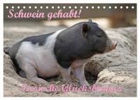 Vorderes Coverbild Schwein gehabt! (Tischkalender 2026 DIN A5 quer), CALVENDO Monatskalender