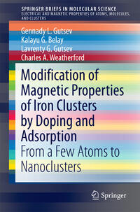 Vorderes Coverbild Modification of Magnetic Properties of Iron Clusters by Doping and Adsorption