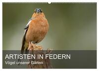 Vorderes Coverbild Artisten in Federn - Vögel unserer Gärten (Wandkalender 2025 DIN A2 quer), CALVENDO Monatskalender