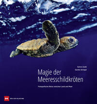 Vorderes Coverbild Magie der Meeresschildkröten