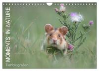 Vorderes Coverbild Moments in Nature (Wandkalender 2025 DIN A4 quer), CALVENDO Monatskalender