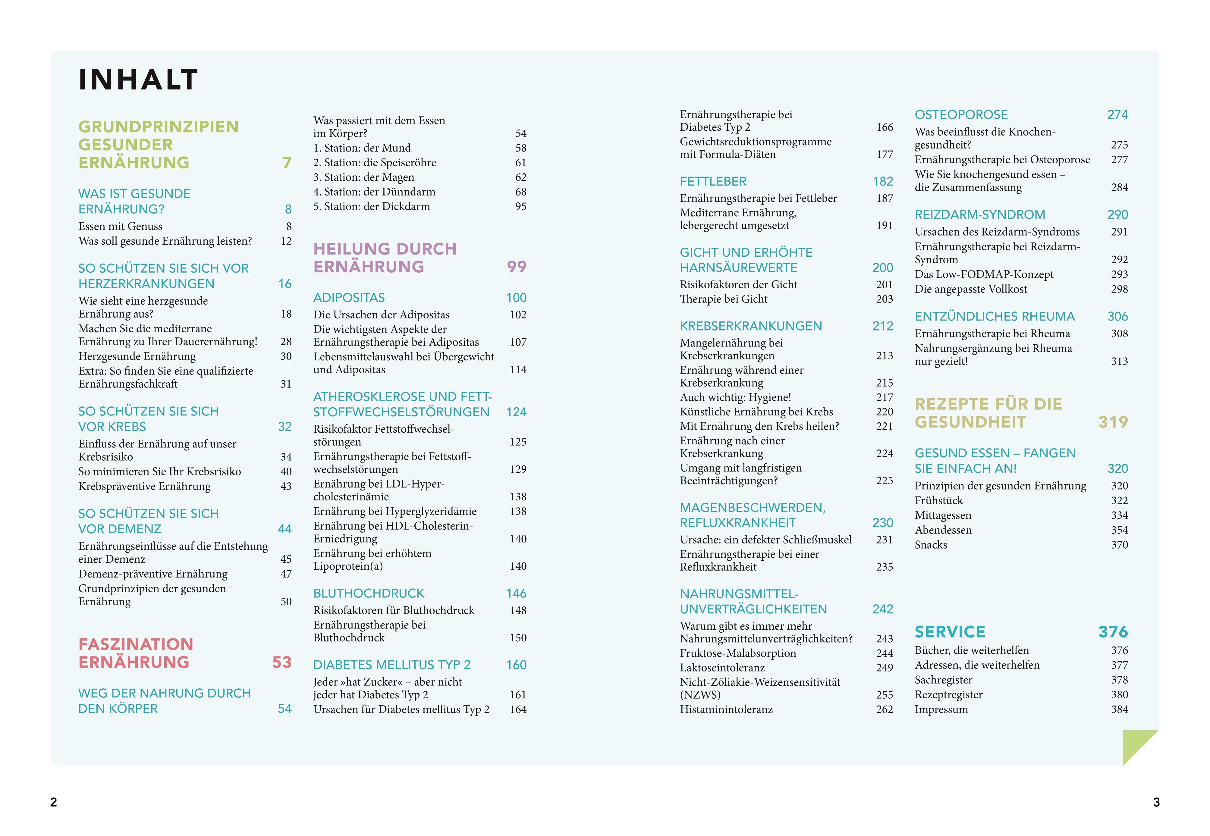 Beispielinhalt (Bild) Das große Praxisbuch Ernährungsmedizin
