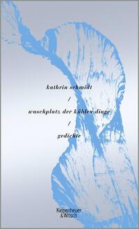 Vorderes Coverbild waschplatz der kühlen dinge