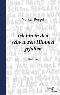 Vorderes Coverbild Ich bin in den schwarzen Himmel gefallen