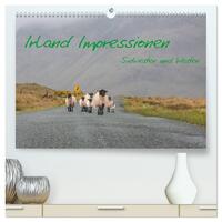 Vorderes Coverbild Irland Impressionen Südwesten und Westen (hochwertiger Premium Wandkalender 2026 DIN A2 quer), Kunstdruck in Hochglanz