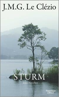 Vorderes Coverbild Sturm