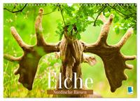 Vorderes Coverbild Elche: Nordische Riesen (Wandkalender 2025 DIN A3 quer), CALVENDO Monatskalender