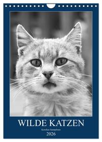 Vorderes Coverbild Wilde Katzen - Korsikas Samtpfoten (Wandkalender 2026 DIN A4 hoch), CALVENDO Monatskalender