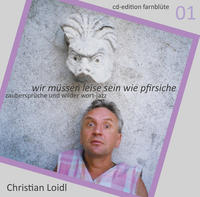 Vorderes Coverbild wir müssen leise sein wie pfirsiche