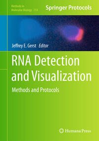 Vorderes Coverbild RNA Detection and Visualization