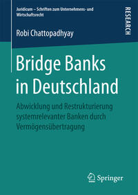 Vorderes Coverbild Bridge Banks in Deutschland