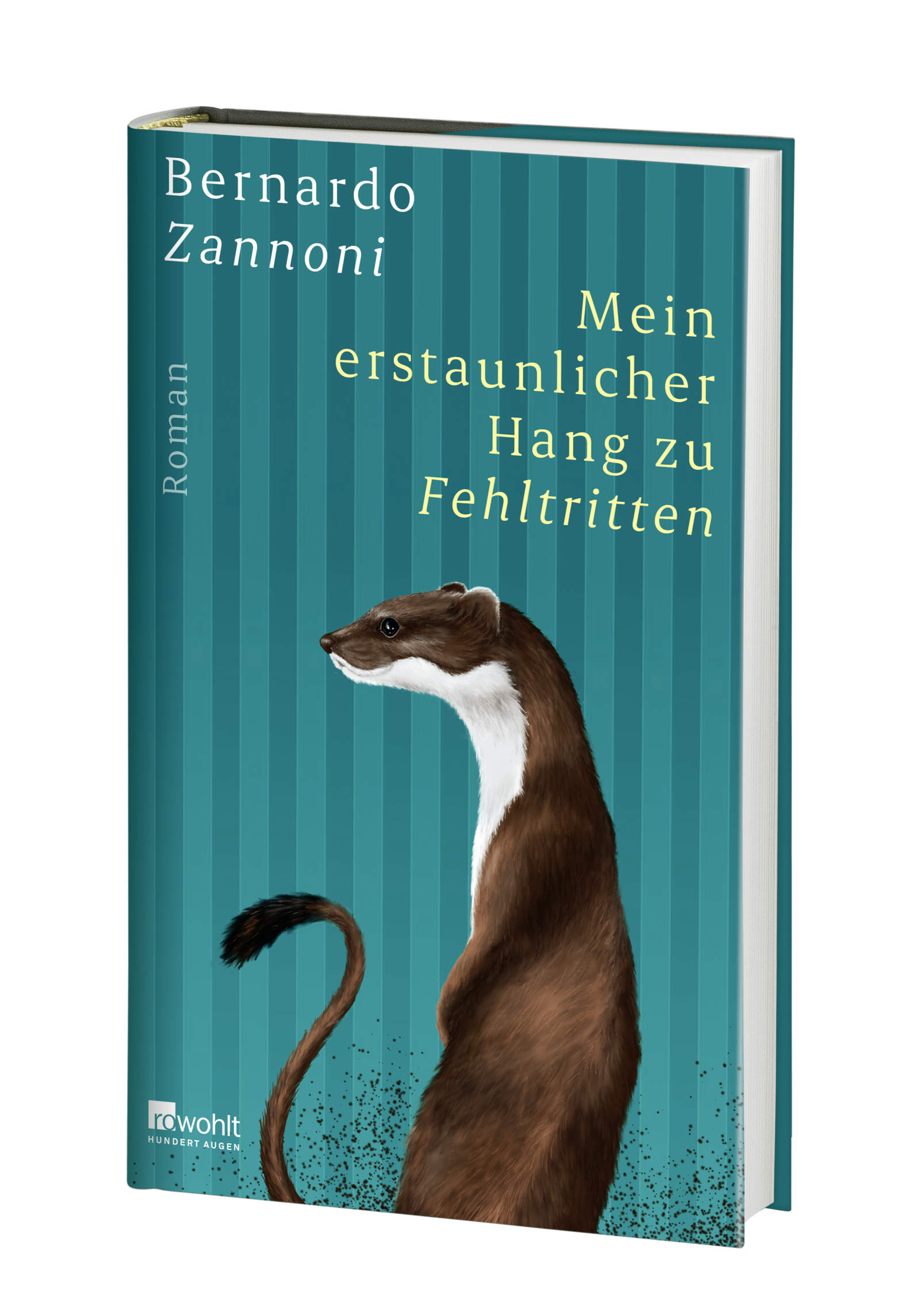 Anderes Coverbild Mein erstaunlicher Hang zu Fehltritten
