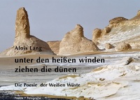 Vorderes Coverbild unter den heißen winden ziehen die dünen