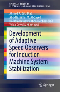 Vorderes Coverbild Development of Adaptive Speed Observers for Induction Machine System Stabilization