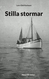 Vorderes Coverbild Stilla stormar