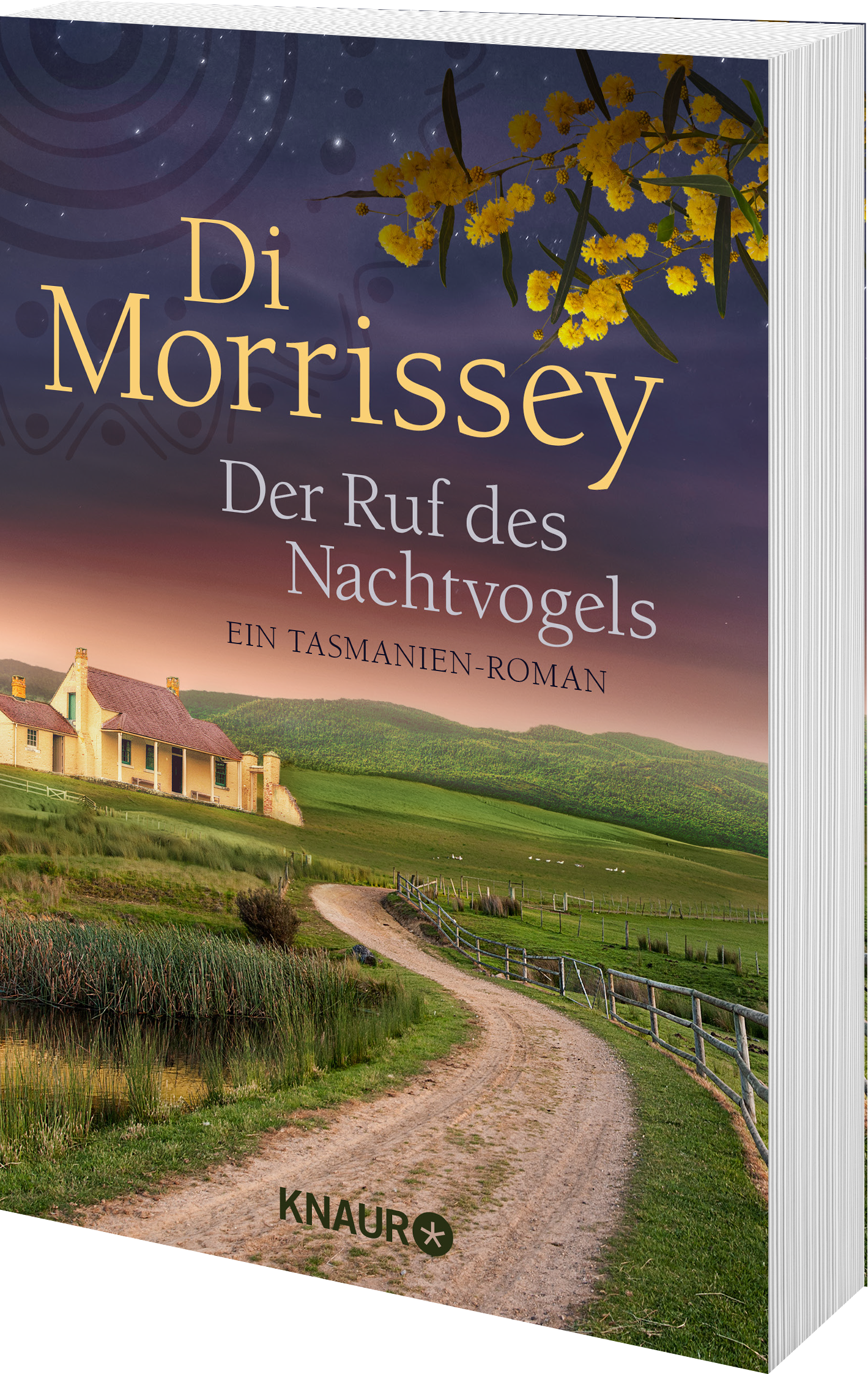 Anderes Coverbild Der Ruf des Nachtvogels