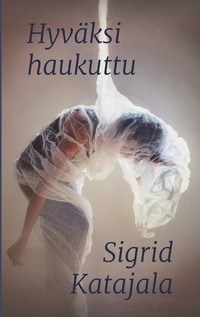 Vorderes Coverbild Hyväksi haukuttu