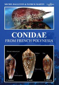 Vorderes Coverbild Conidae from French Polynesia