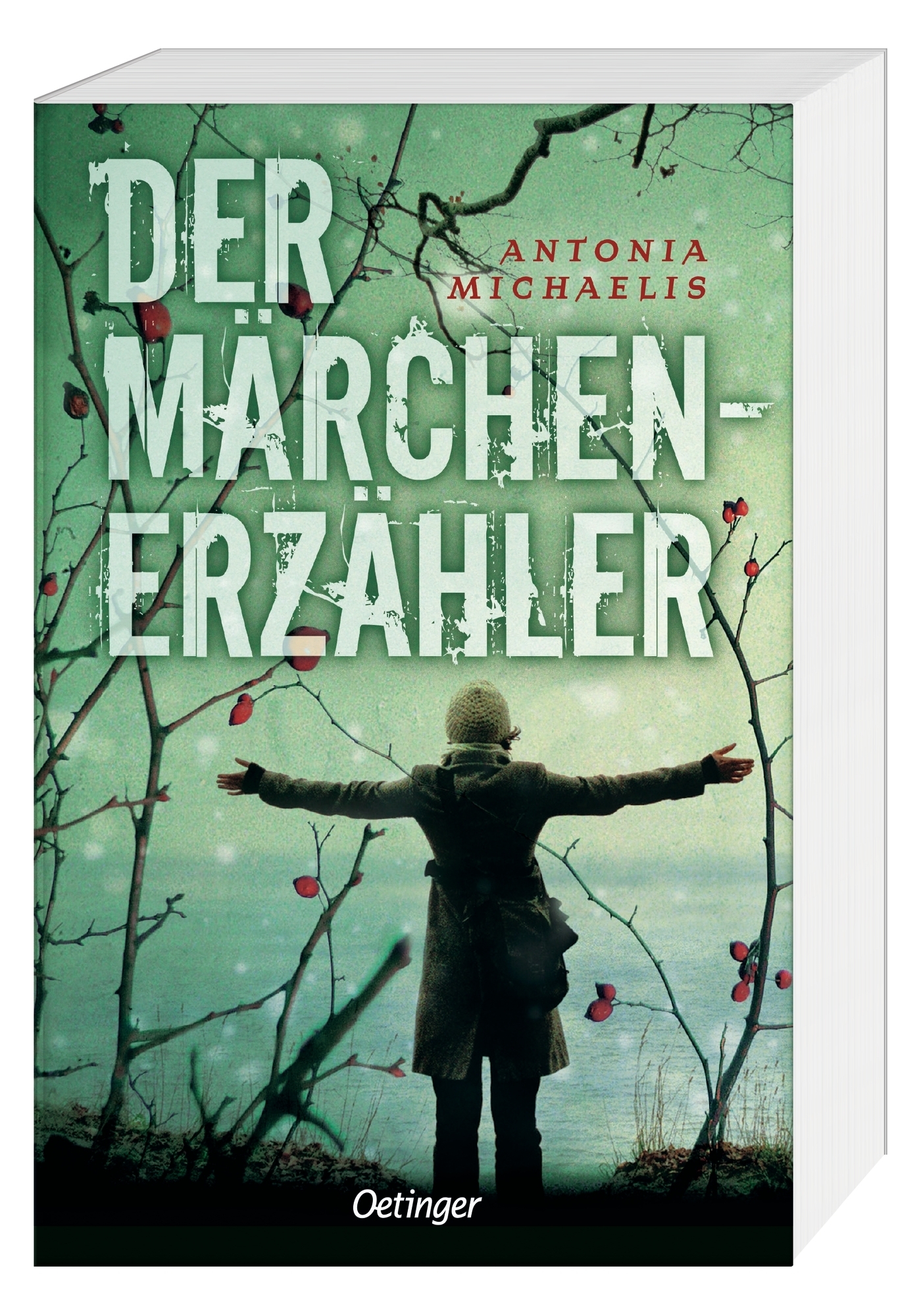 Anderes Coverbild Der Märchenerzähler