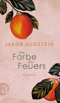 Vorderes Coverbild Die Farbe des Feuers