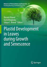 Vorderes Coverbild Plastid Development in Leaves during Growth and Senescence