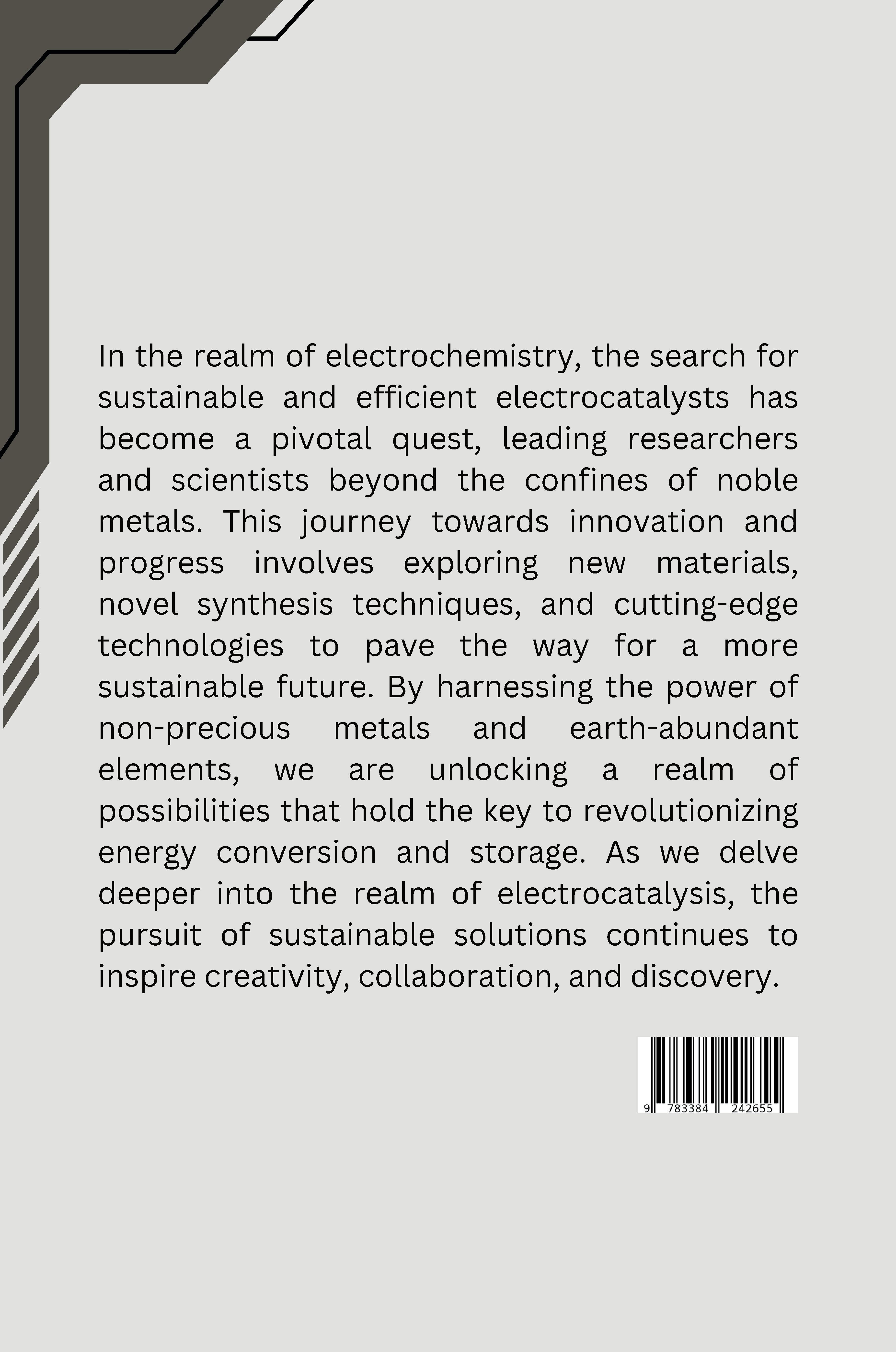 Rückseitencover Beyond Noble Metals: The Quest for Sustainable and Efficient Electrocatalysts