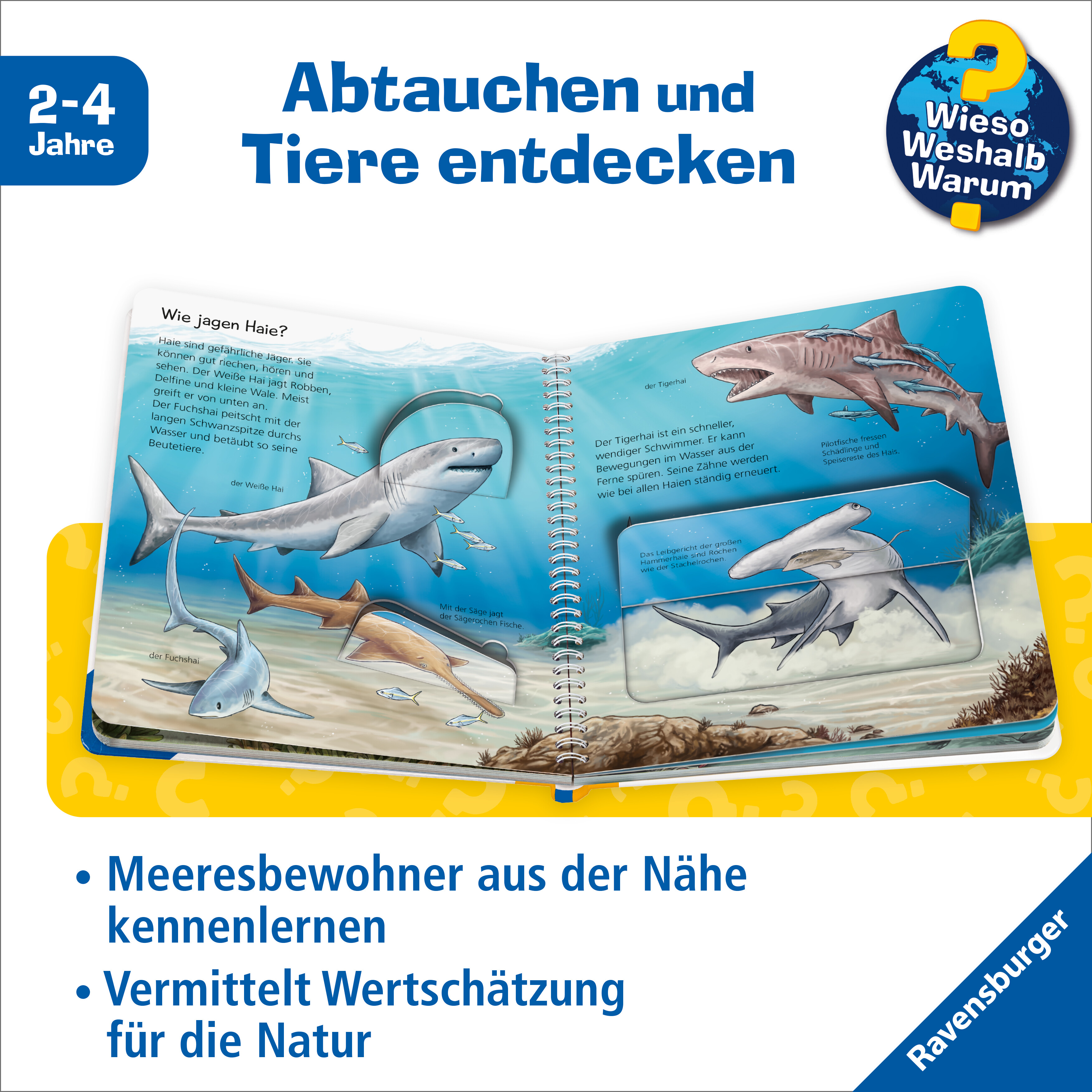 Beispielinhalt (Bild) Wieso? Weshalb? Warum? junior (2-4 J.), Band 57 - Tiere im Meer