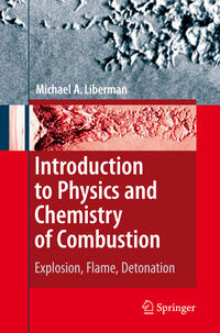 Vorderes Coverbild Introduction to Physics and Chemistry of Combustion