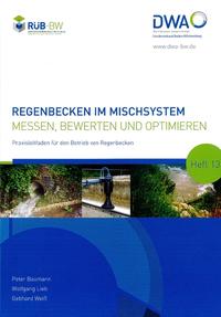 Vorderes Coverbild Regenbecken im Mischsystem