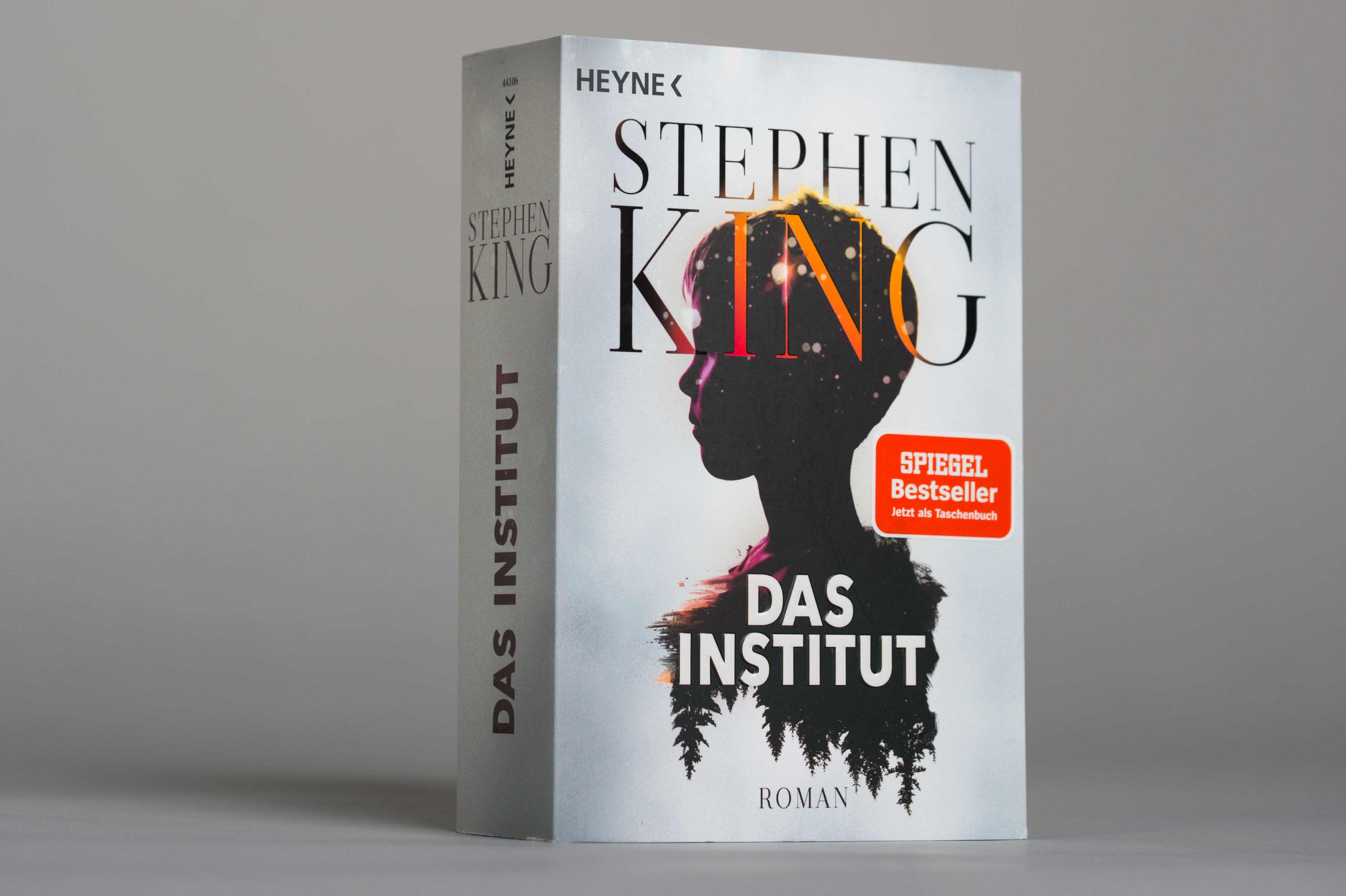 Beispielinhalt (Bild) Das Institut