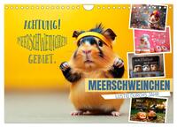 Vorderes Coverbild Meerschweinchen LUSTIG DURCHS JAHR (Wandkalender 2026 DIN A4 quer), CALVENDO Monatskalender