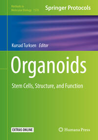 Vorderes Coverbild Organoids