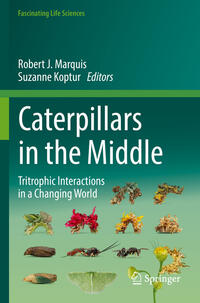 Vorderes Coverbild Caterpillars in the Middle