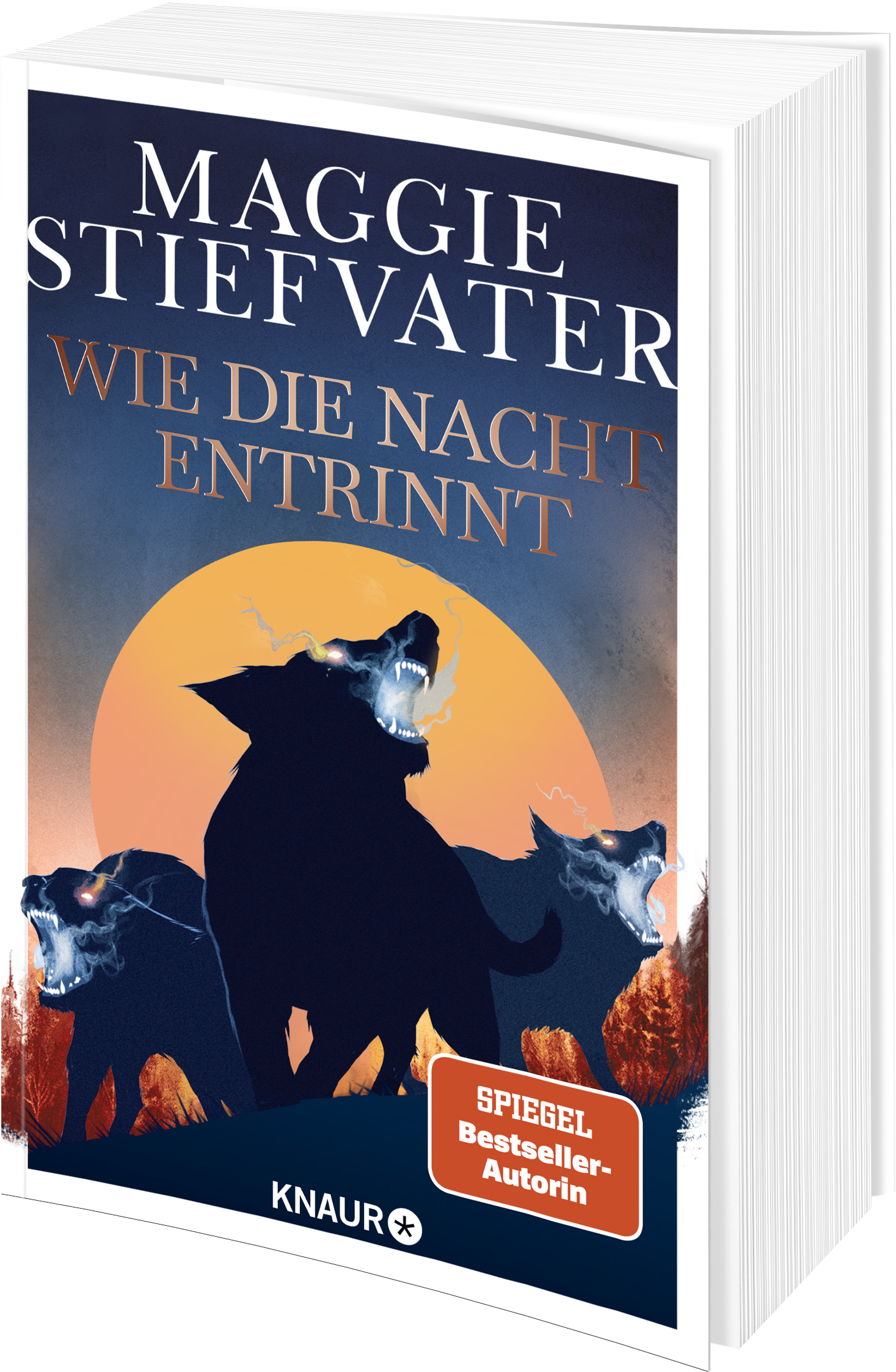 Anderes Coverbild Wie die Nacht entrinnt