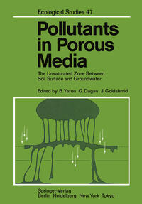 Vorderes Coverbild Pollutants in Porous Media