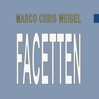 Vorderes Coverbild Facetten