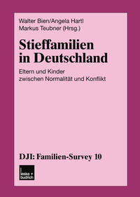 Vorderes Coverbild Stieffamilien in Deutschland