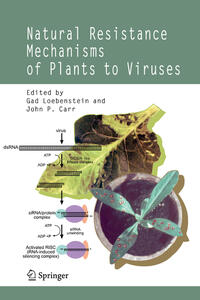 Vorderes Coverbild Natural Resistance Mechanisms of Plants to Viruses