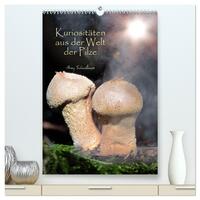 Vorderes Coverbild Kuriositäten aus der Welt der Pilze (hochwertiger Premium Wandkalender 2026 DIN A2 hoch), Kunstdruck in Hochglanz