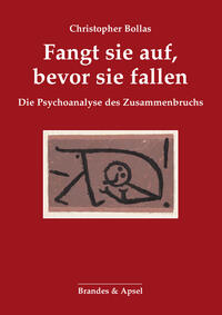 Vorderes Coverbild Fangt sie auf, bevor sie fallen