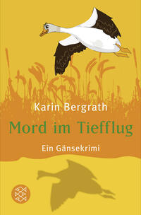 Vorderes Coverbild Mord im Tiefflug