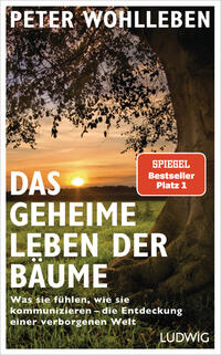 Vorderes Coverbild Das geheime Leben der Bäume