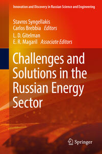 Vorderes Coverbild Challenges and Solutions in the Russian Energy Sector
