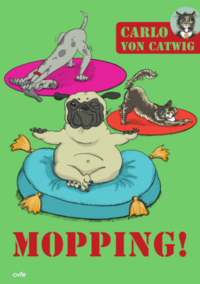 Vorderes Coverbild Mopping!