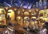 Vorderes Coverbild Kinderpuzzle 368 Teile - EXIT Puzzle Kids Im Naturkundemuseum