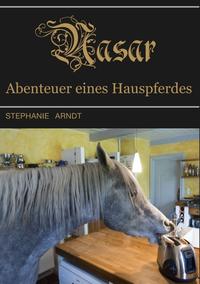 Vorderes Coverbild Nasar