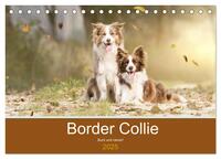 Vorderes Coverbild Border Collie - Bunt und clever! (Tischkalender 2025 DIN A5 quer), CALVENDO Monatskalender